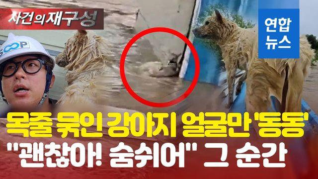 [영상] 