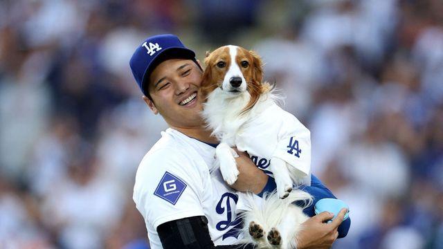 MLB 스타 오타니, 반려견 소재로 한 아동 도서 공동 집필