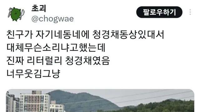 친구가 자기 동네에 청경채 동상 있대서 무슨 소리냐고 했는데,,