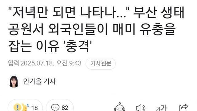 부산 생태공원서 저녁마다 매미 유충을 잡는 외국인들