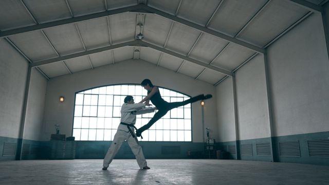 [IS인터뷰] 발레트롯, 태권도를 만나다…‘태레’, 보고듣는 트롯의 절정