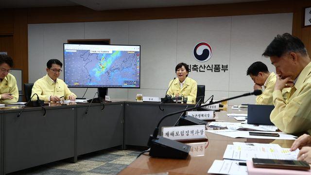 호우로 축구장 1만8천개 농작물 침수…농식품부 