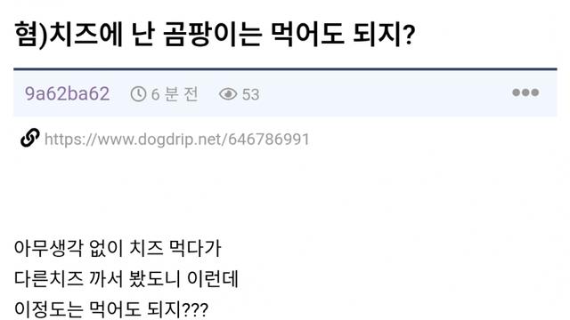 펌)치즈에 난 곰팡이는 먹어두되지?