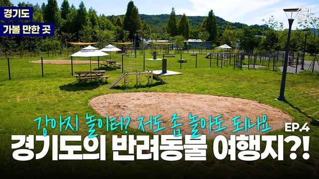 [영상] 반려인, 반려견 모두 행복할 수 있는 이곳은? [경기도 가볼 만한 곳]