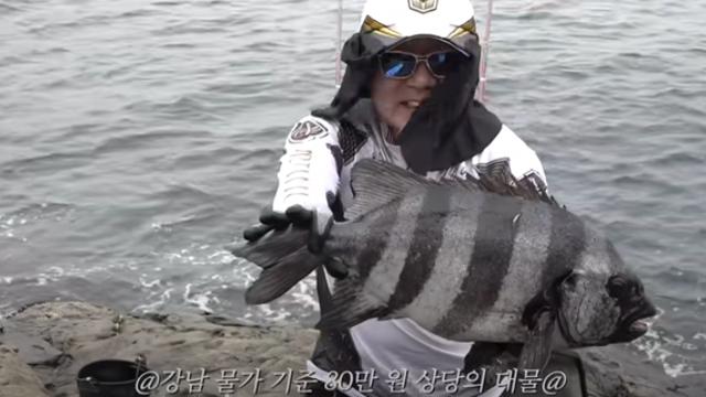 80만원짜리 돌돔을 잡은 낚시 전문가 박프로 