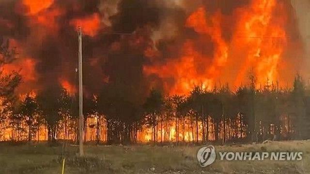 '온난화 직격타' 캐나다 올들어 550만㏊ 산불…역대 두번째 피해