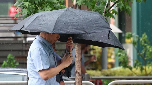 [내일날씨] 초복 일요일, 일부 지역 소나기…서울 31도