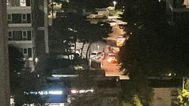 사제총기로 아들 살해한 아버지, 도주 끝 서울서 검거(종합2보)