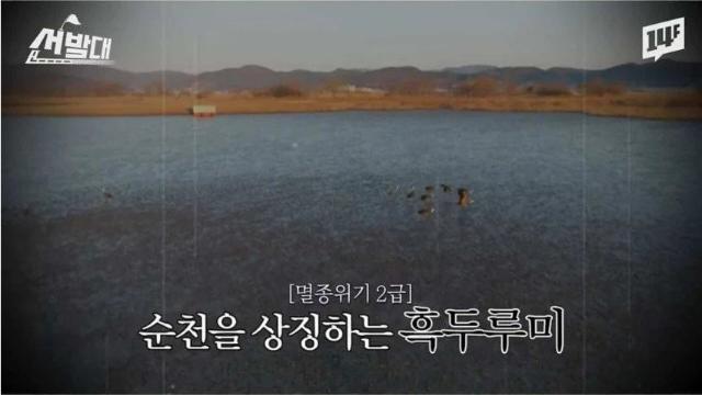 순천시가 전봇대 수백개를 뽑아버린 이유 