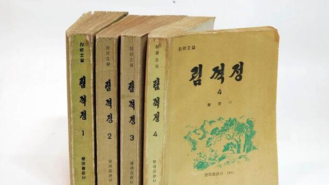 정부, 체제 선전 무관한 北 영화·소설 등 정보 공개 확대 추진