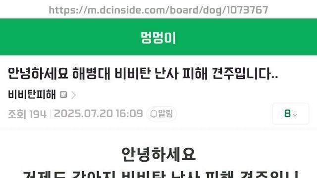 오늘자 디시에 글 남긴 해병대 비비탄 난사 피해 사건의 견주