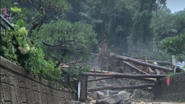 “전기·수도 끊겨”…서효림, 전원생활 중 전한 폭우·산사태 피해