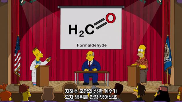 심슨으로 보는 민생지원금 투표