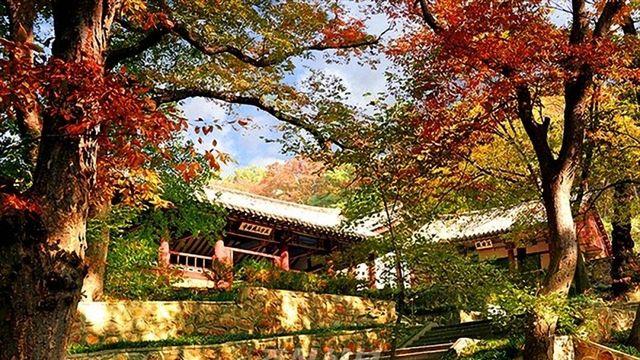 조선신보, 북한 정방산유원지 소개…조총련계 관광 겨냥한듯