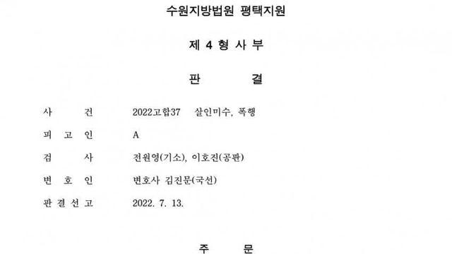 일반인 식물인간 만든 캣맘