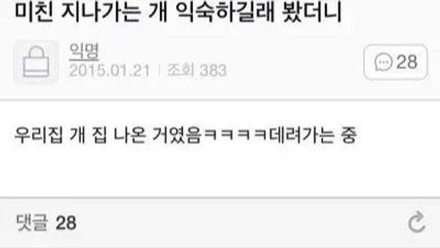지나가는 개가 익숙하길래,,