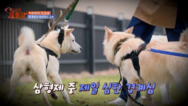 '개호강' 레이, 할머니 레시피로 만찬 대접 