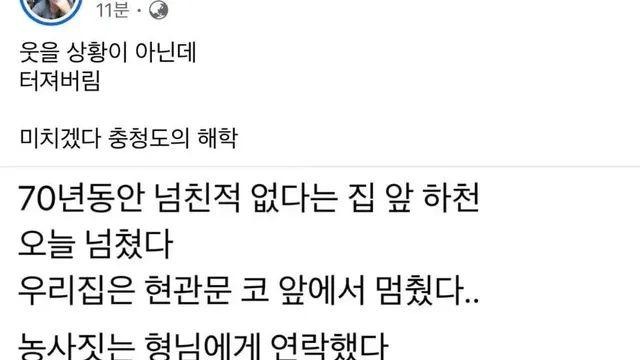 물난리에도 해학이 넘치는 충청도인,,