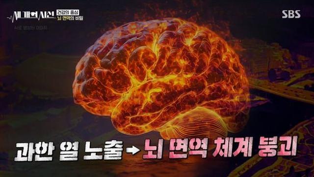 “무더위, 체내 항상성 깨뜨려 뇌 면역 체계 붕괴… 치매 발병률↑” (‘세 개의 시선’)