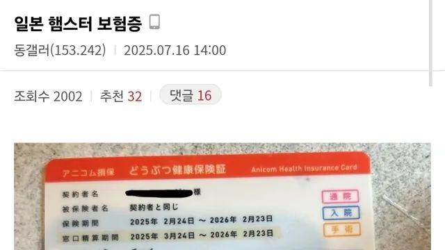 일본 햄스터 보험증,,