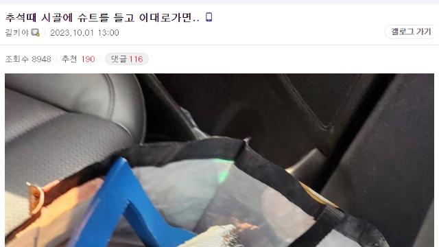 추석 때 시골에 슈트를 들고 간 디시인