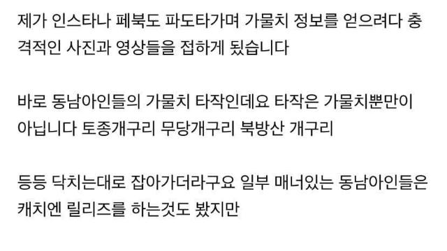 베트남인들이 한국에 와서 가물치 낚시, 타작.jpg