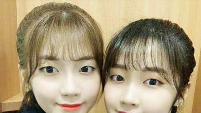 한국 스포츠 종목별 쌍둥이 선수 모음...jpg