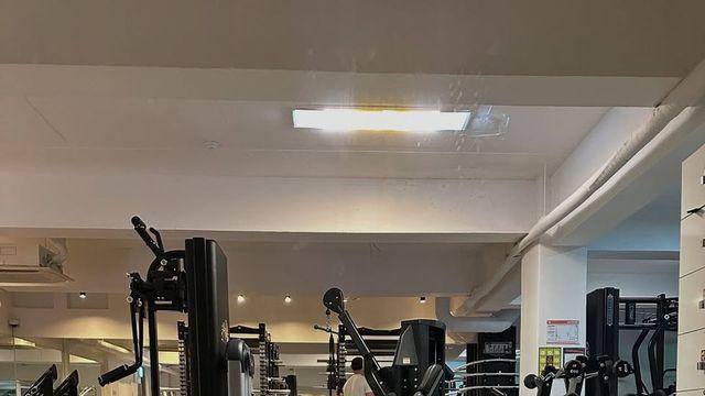 운동할 때 뭐 입지? 고민이라면 고원희처럼! '올블랙'으로 끝내는 헬스장 패션