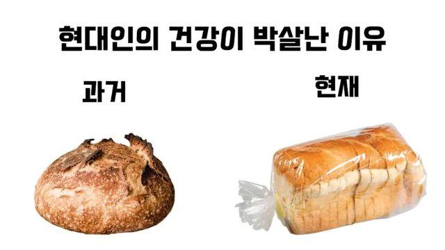 현대인들의 건강이 박살난 이유.jpg