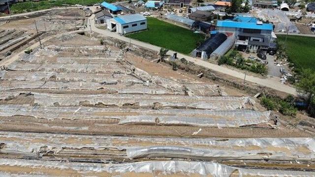 수마 할퀸 충남·전남 농축산물 피해 속출…밥상 물가 치솟을라