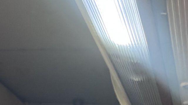 오이타 하모니랜드 사진짤짤이 50장