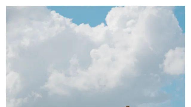 노들섬/선유도와 즉석코페이