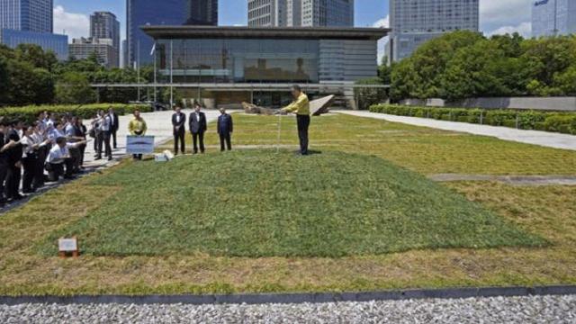 '먹어서 응원' 시즌2? 日후쿠시마 오염 흙 총리 관저에 깔았다