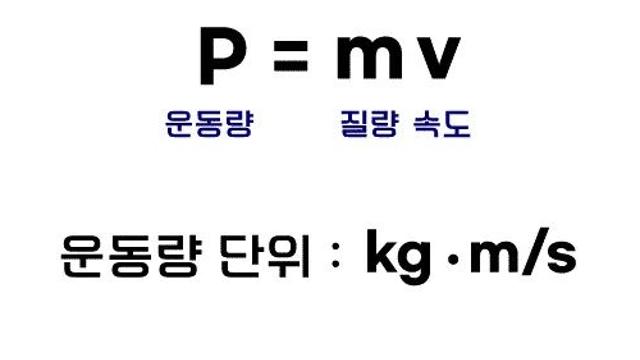 왜 뉴턴은 운동량을 p로 썼을까?