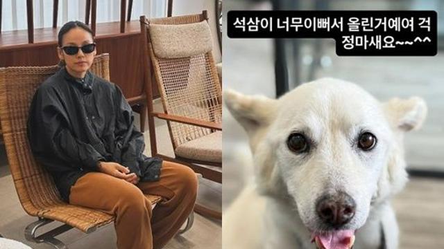 '반려견 암 말기' 고백한 이효리, 급히 해명했다…