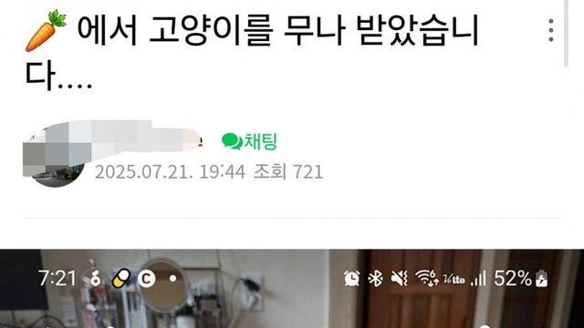 ㄷㄱ에서 고양이 무나받고 한 횐님