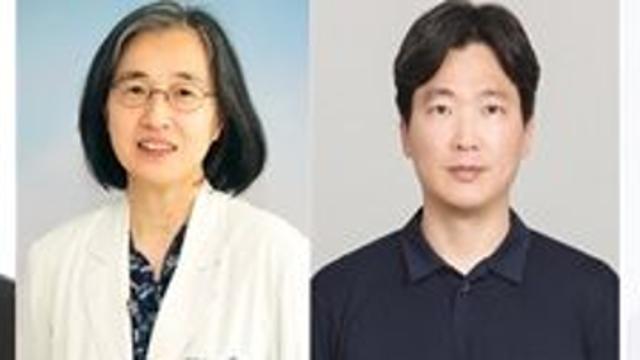 세계 첫 미니 장기(오가노이드) 기반 형태 분류법…구강암 예후 예측 및 맞춤형 치료 전략 제시