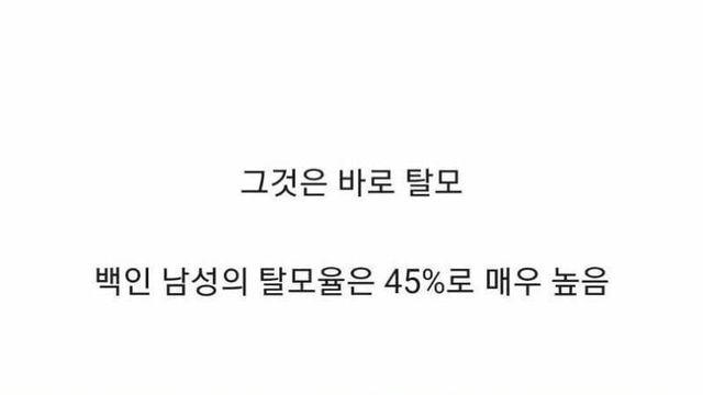 백인 남성들의 저주