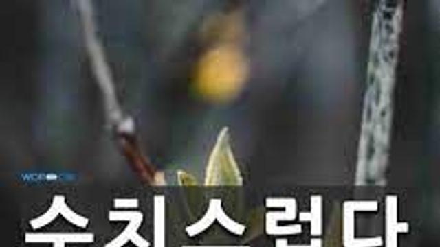 수치스러운데 왜 보여줌??