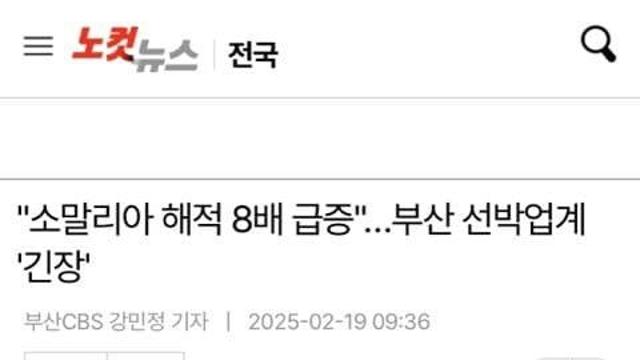 없어졌다던 소말리아 해적 근황..jpg