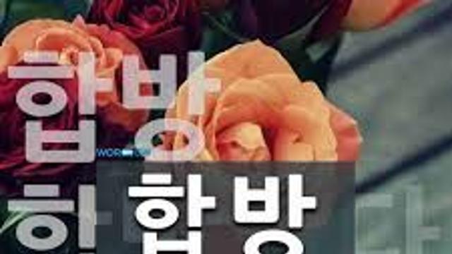 댕이와 냥이를 합방하면.