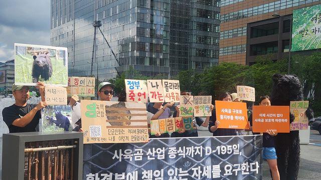 시민단체 