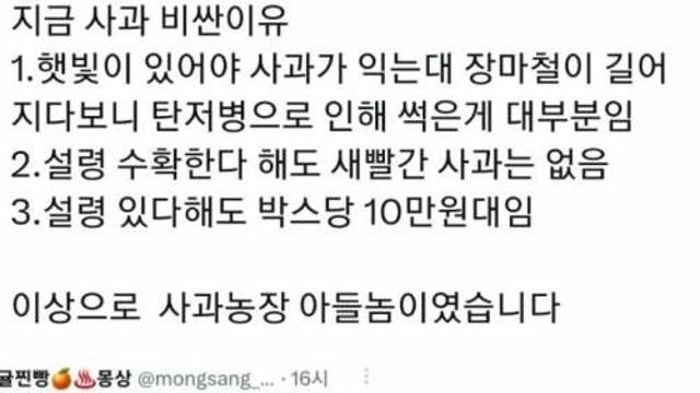 지금 사과가 비싼이유,,