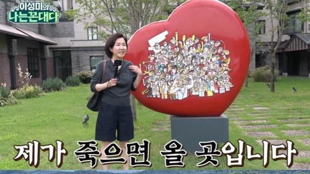 65세 이성미 