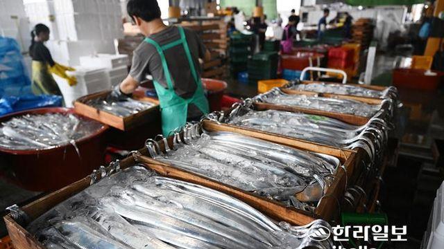 제주 유통수산물 전부 방사능 불검출