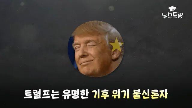 트럼프 