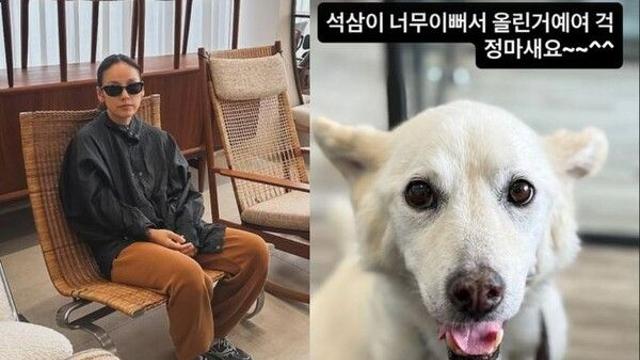 뉴스 이미지