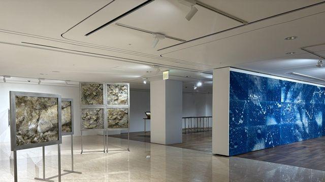신한은행, 신진작가 육성 프로그램 '2025 신한 영 아티스트 페스타' 세 번째 전시 개최