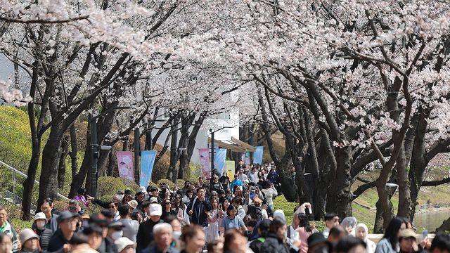 ‘더 빠르고 더 안전하게’ 송파구 공공와이파이 확충