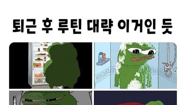 직장인들 퇴근 후 국룰.jpg
